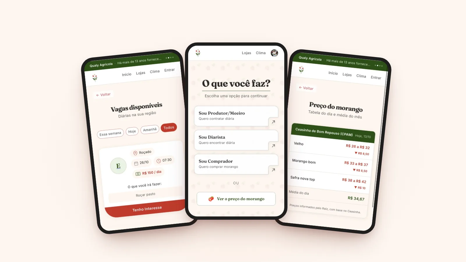 Três telas do Raíz no celular: vagas de diária, a escolha entre produtor, diarista e comprador, e o preço do morango do dia