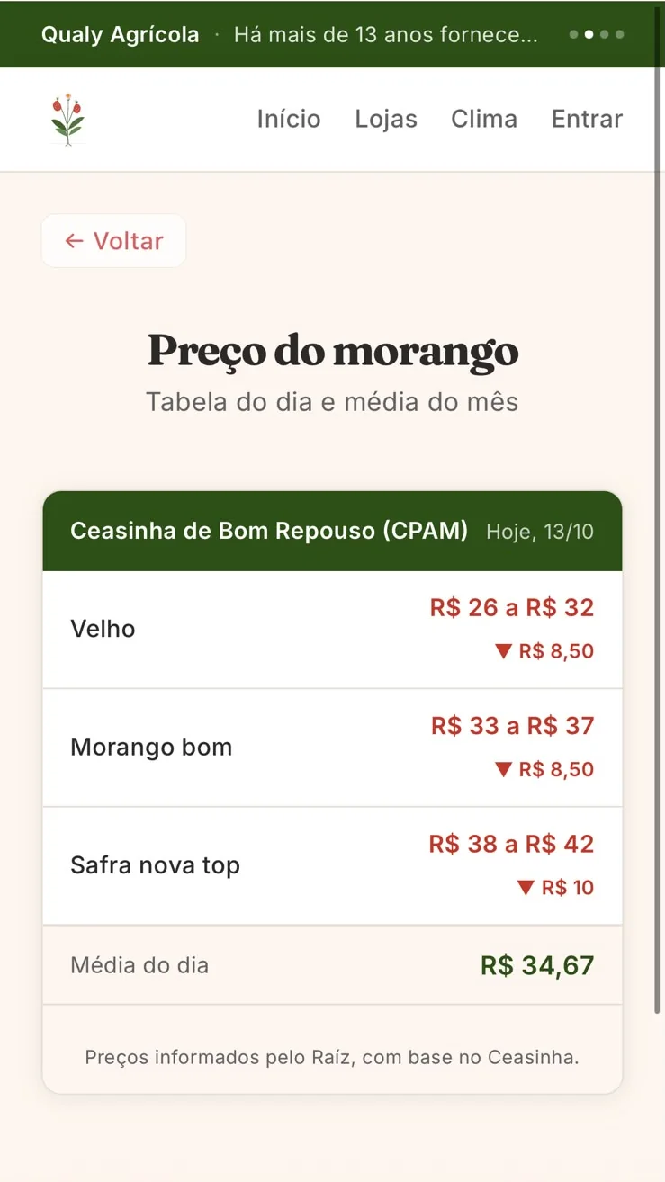 Tela Preço do morango: tabela do Ceasinha de Bom Repouso com os preços do morango velho, bom e safra nova top, e a média do dia